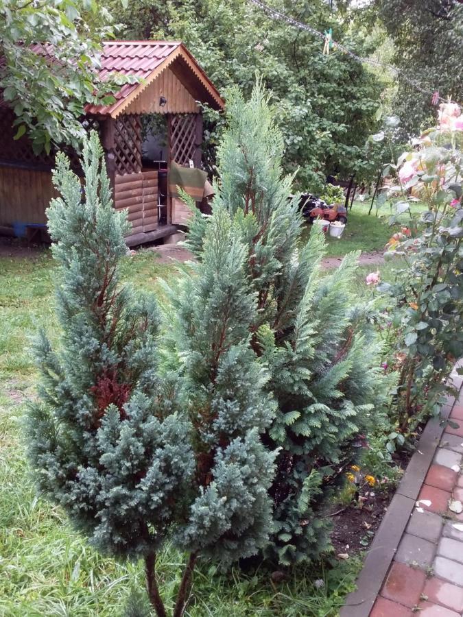 Лісова Хатинка Apartamento Kelechin Exterior foto